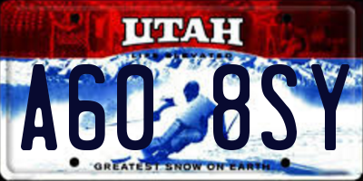 UT license plate A608SY