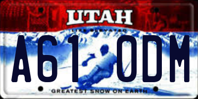 UT license plate A610DM