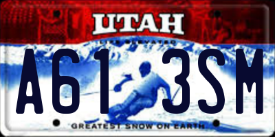 UT license plate A613SM
