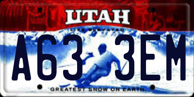 UT license plate A633EM