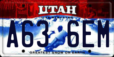 UT license plate A636EM