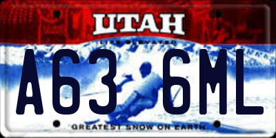 UT license plate A636ML