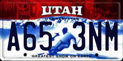 UT license plate A653NM
