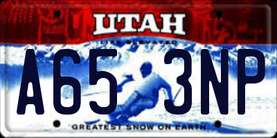 UT license plate A653NP