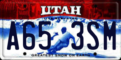 UT license plate A653SM
