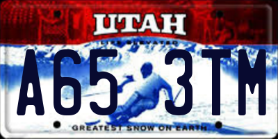 UT license plate A653TM