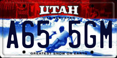 UT license plate A655GM