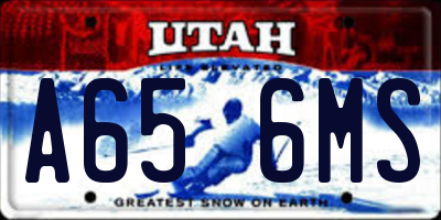 UT license plate A656MS