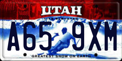 UT license plate A659XM