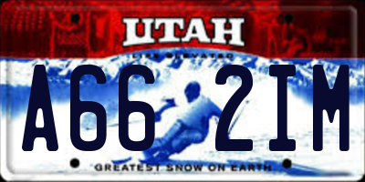 UT license plate A662IM