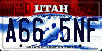UT license plate A665NF