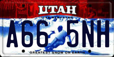 UT license plate A665NH