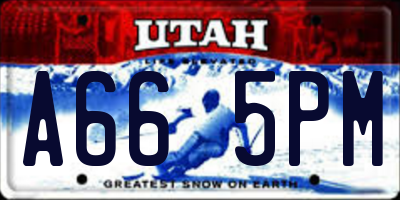 UT license plate A665PM