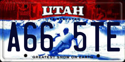 UT license plate A665TE