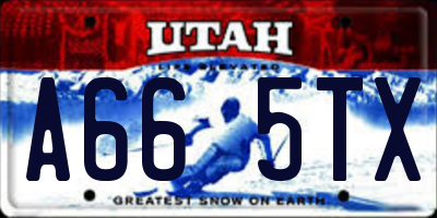 UT license plate A665TX