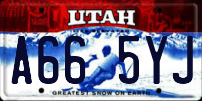 UT license plate A665YJ
