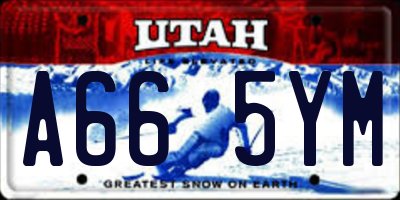 UT license plate A665YM