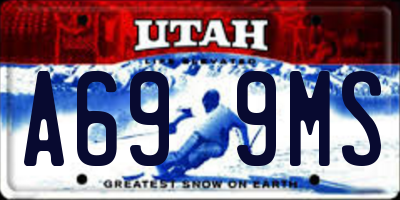 UT license plate A699MS