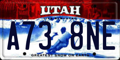 UT license plate A738NE