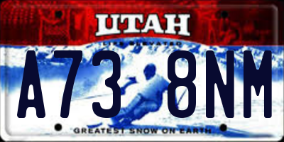 UT license plate A738NM