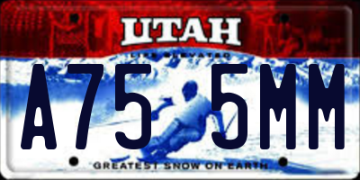 UT license plate A755MM