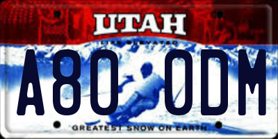 UT license plate A800DM