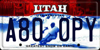 UT license plate A800PY