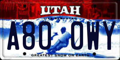 UT license plate A800WY
