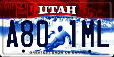 UT license plate A801ML