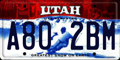 UT license plate A802BM