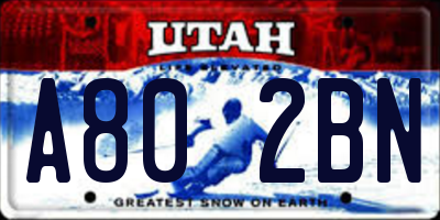 UT license plate A802BN