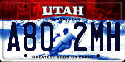 UT license plate A802MH