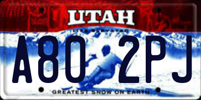 UT license plate A802PJ