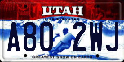 UT license plate A802WJ