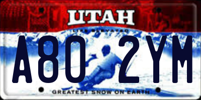 UT license plate A802YM