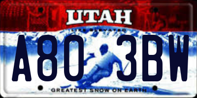 UT license plate A803BW