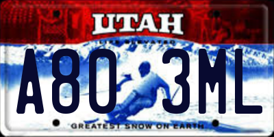 UT license plate A803ML