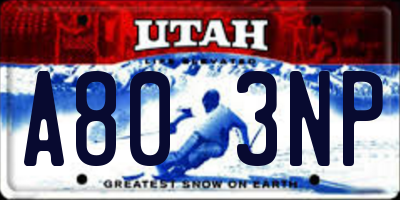 UT license plate A803NP