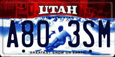 UT license plate A803SM