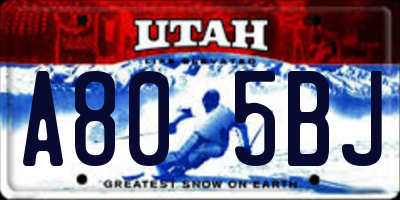 UT license plate A805BJ