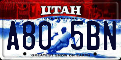 UT license plate A805BN