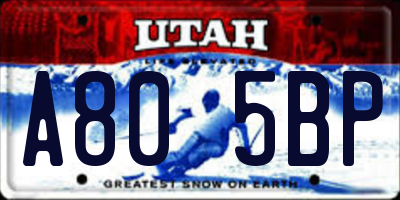 UT license plate A805BP
