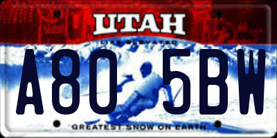 UT license plate A805BW