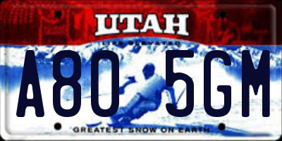 UT license plate A805GM