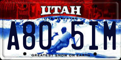 UT license plate A805IM