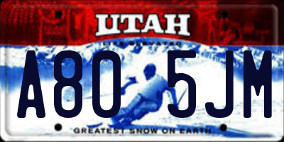 UT license plate A805JM