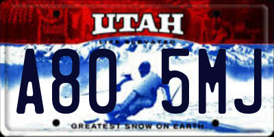 UT license plate A805MJ