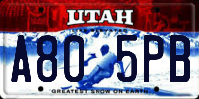 UT license plate A805PB