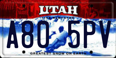 UT license plate A805PV