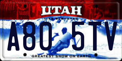 UT license plate A805TV